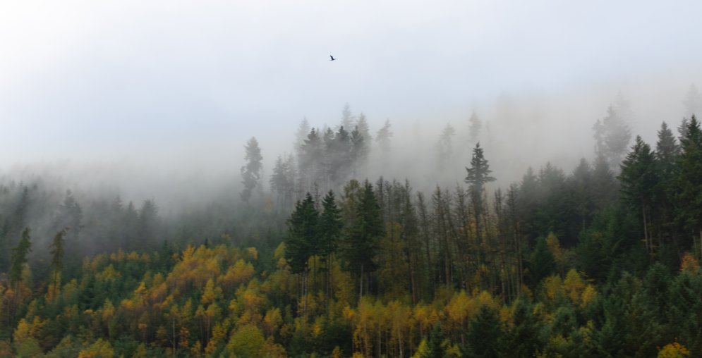 EURC1286-Enhanced-NR