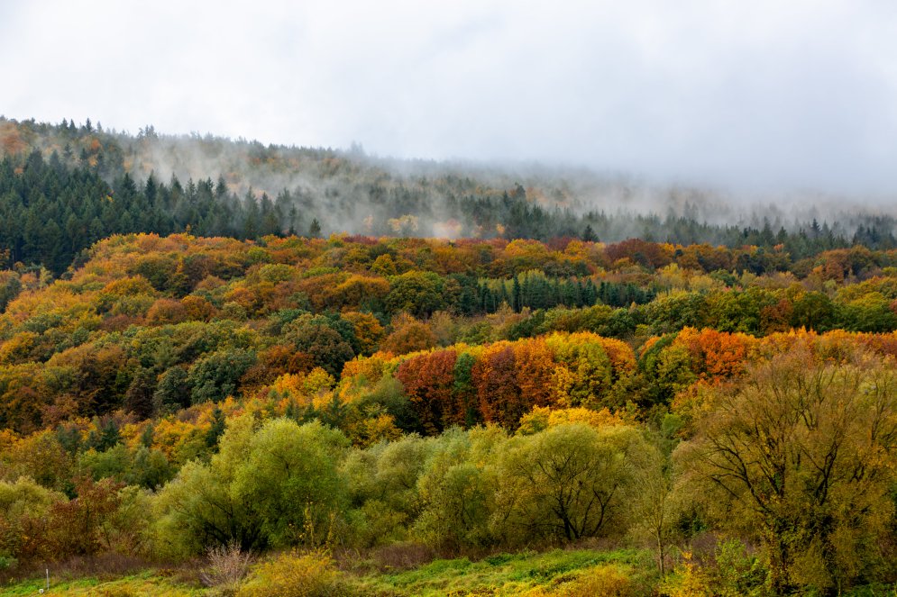 EURC1325-Enhanced-NR