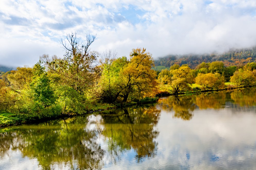 EURC1353-Enhanced-NR